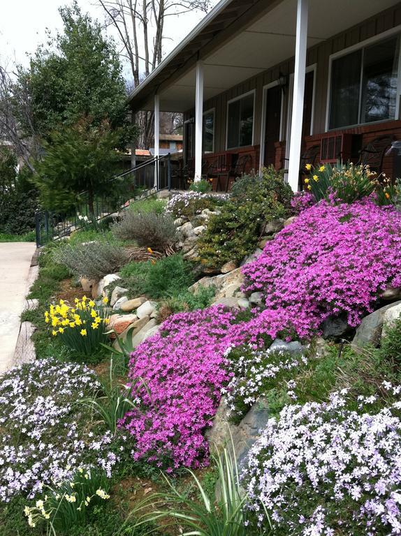 America'S Best Value Inn Mariposa Lodge Exterior photo