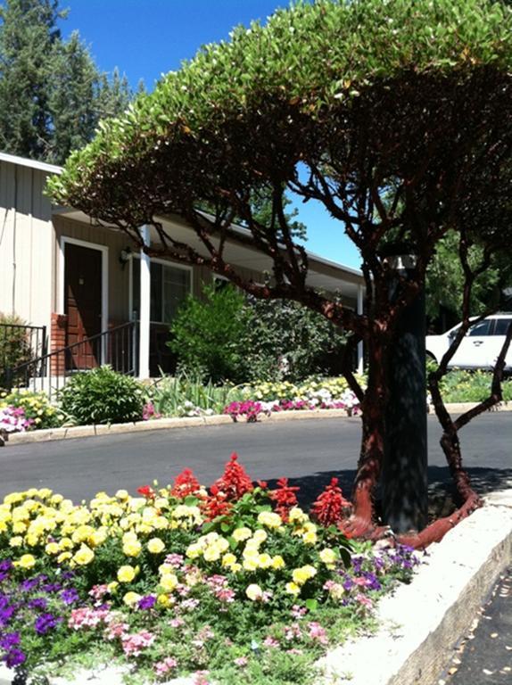 America'S Best Value Inn Mariposa Lodge Exterior photo
